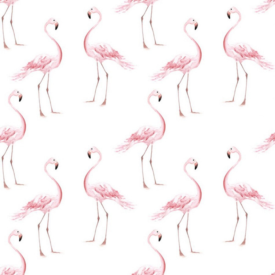 papier peint flamant rose
