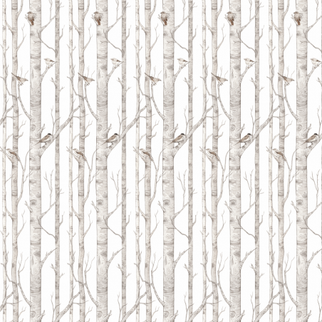 Papier peint forêt de bouleaux