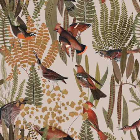 papier peint enfant oiseaux exotique