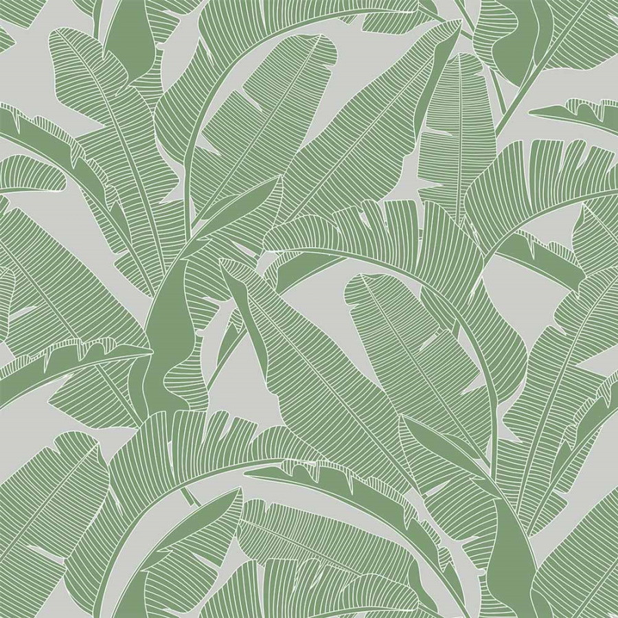 papier peint enfant feuilles de palmier gris et vert