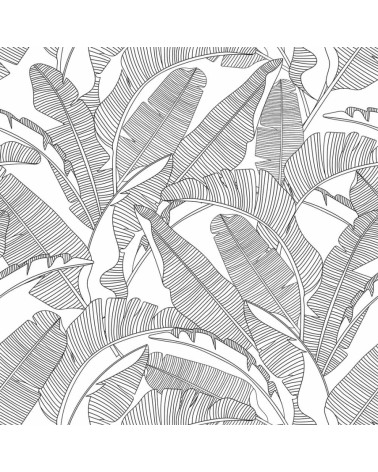 papier peint feuilles de palmier blanc et noir