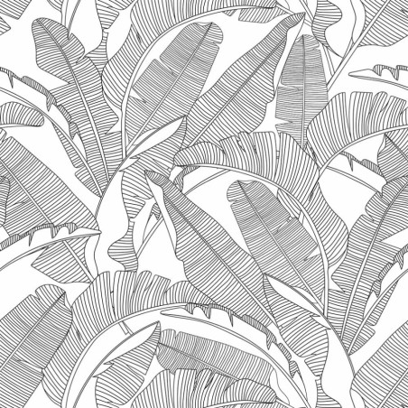 papier peint feuilles de palmier blanc et noir