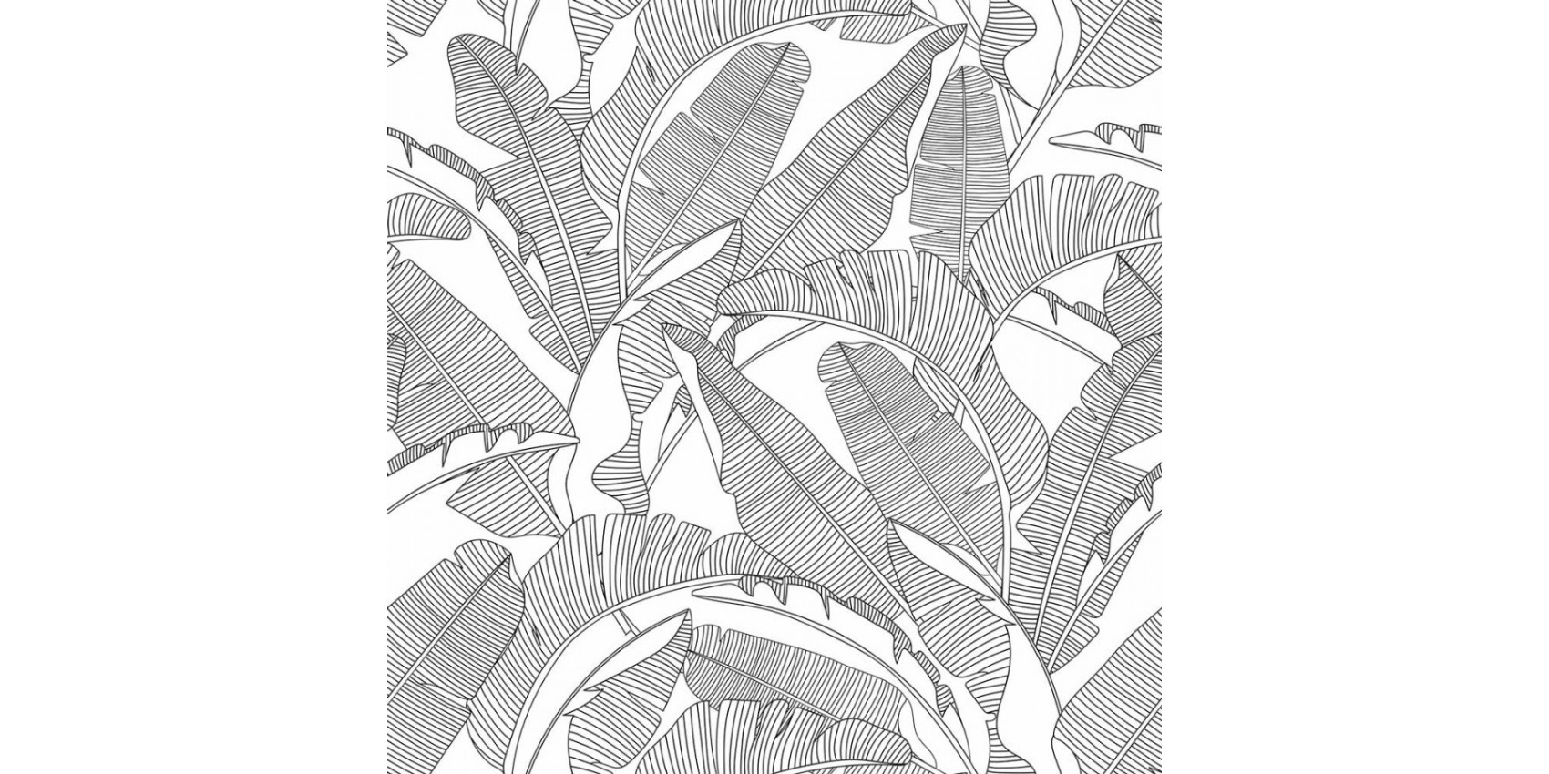 Papier peint feuilles de bananier blanc et noir