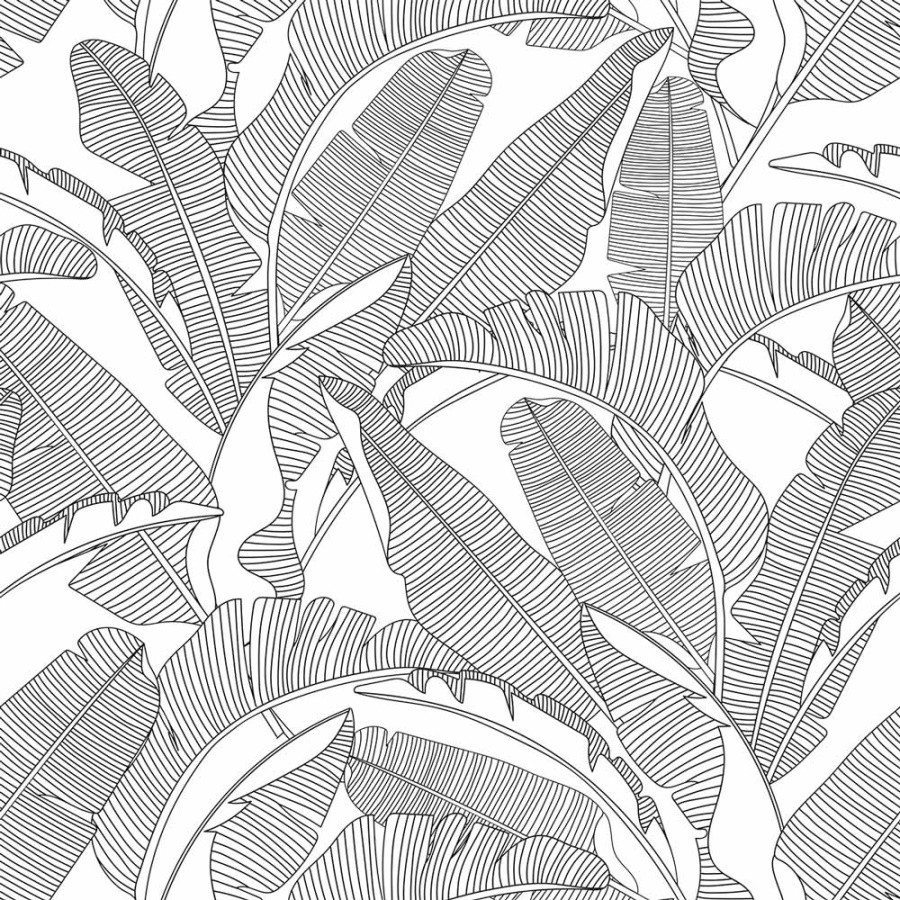 échantillon papier peint feuilles de bananier blanc et noir