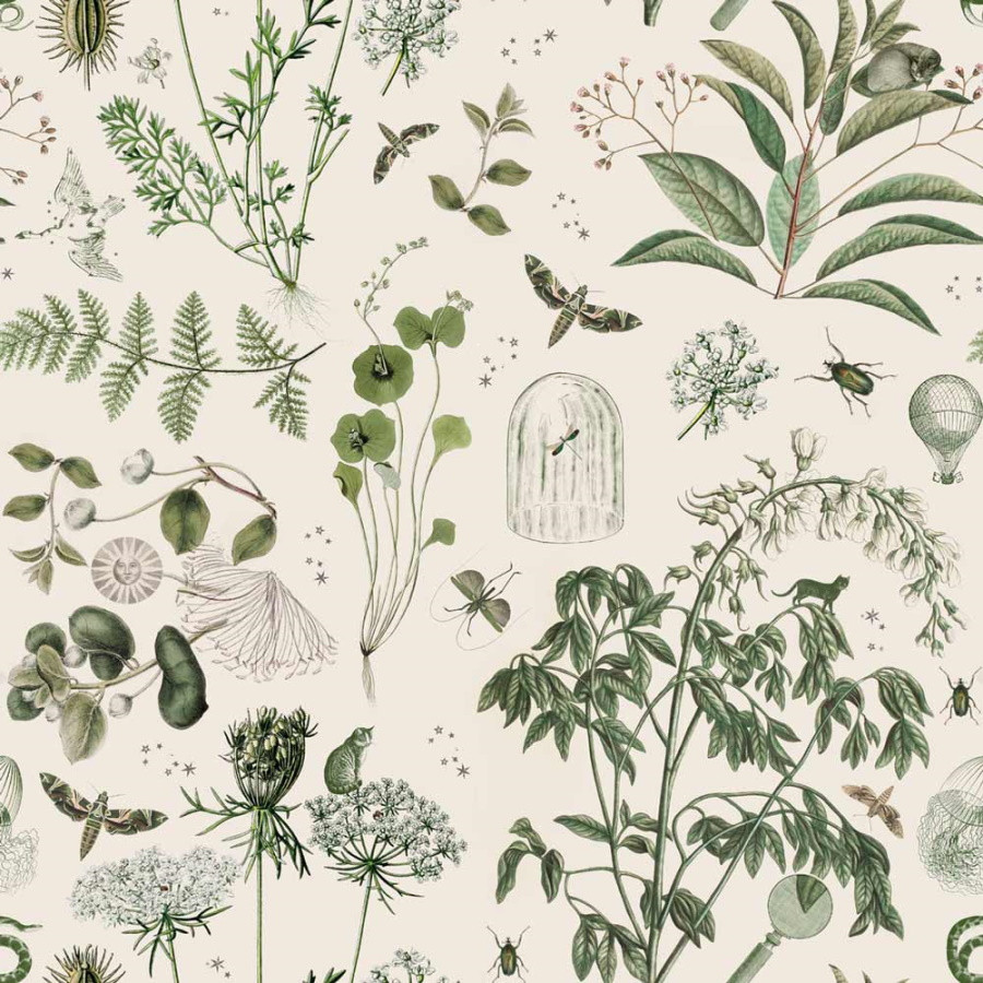 papier peint jardin botanique